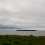 <p align=left>La vue devant le camping: en face l'île au marteau. Pas vu de rorqual cette année, mais plusieurs en 1995.